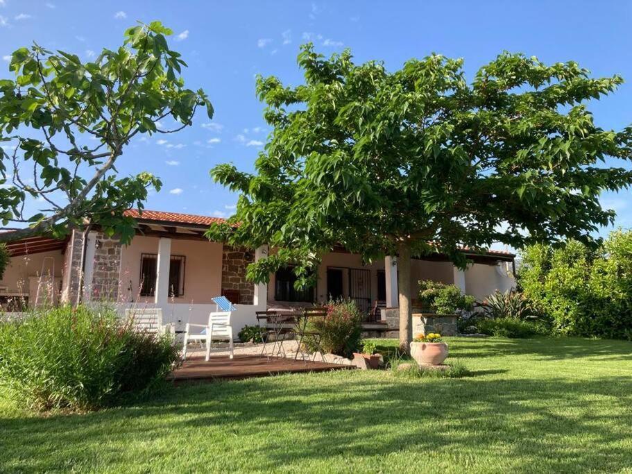 Countryside Villa In Sardinia Triei Ngoại thất bức ảnh